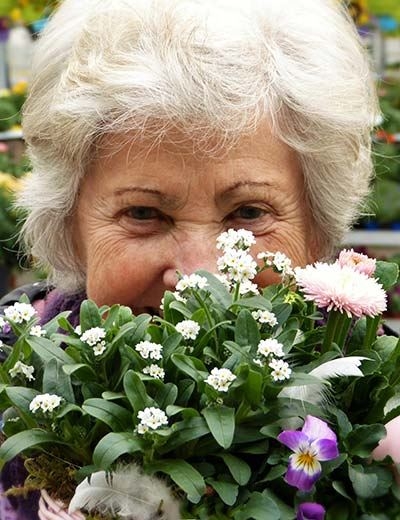 Bild Altenheim vom Optima Planungsbüro